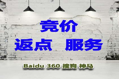 成功SEM托管案例解析