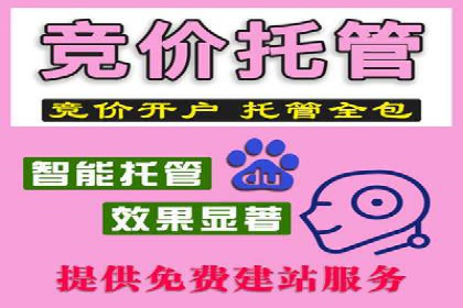 百度推广中的多渠道整合策略：案例分享与效果评估